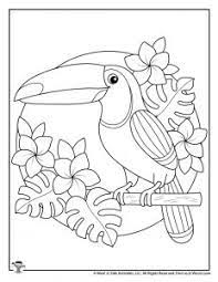 Summer butterfly flies towards adventure. Summer Adult Coloring Pages Woo Jr Kids Activities
