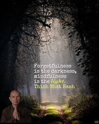 He sought not to efface sorrow by forgetfulness, but to magnify and dignify. Forgetfulness Is The Darkness Mindfulness Is The Light Thich Nhat Hanh Quote Collectiveà¥