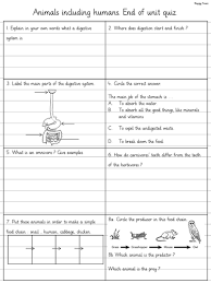 Jul 09, 2018 · browse from thousands of digestive system questions and answers (q&a). Animals Including Humans End Of Unit Revision Quiz Worksheet Digestive System Teaching Resources
