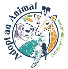 Image result for https://adport.al