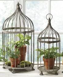 Choose from contactless same day delivery, drive up and more. Using Bird Cages For Decor 46 Beautiful Ideas Digsdigs Bird Cage Decor Vintage Bird Cage Bird Cages