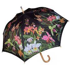 Pin On Fine Art Umbrella Gift Ideas