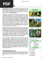 Image result for Stemodiopsis buchananii