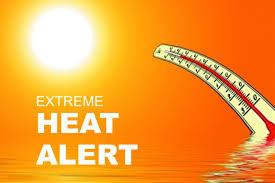 A systematic search of major databas. Heat Warning Park Closed Chelmsford Dog Association