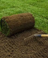 Bbb start with trust ®. Sod Installation Mullins Turf And Lawn Care Llc