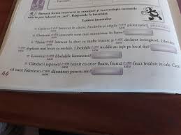 Kufe dw, pollock re, weichselbaum rr, et al., editors. Un Pic De Ajutor La Ex 4 Brainly Ro