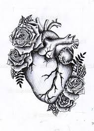 Anatomical Heart Tattoo Https Tattoosk Com Anatomical Heart Tattoo 2 261 Tatouage Coeur Anatomique Tatouage Coeur Dessin Coeur