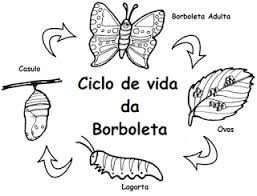 pin on ciencias humanas e da natureza