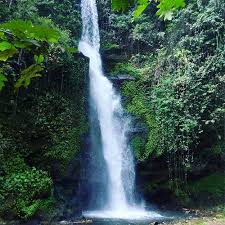 27 Air Terjun Terindah Di Malang Yang Bagus Dan Hits Aneka Wisata