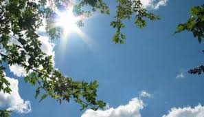 We did not find results for: Prognoza Meteo In Iulie Temperaturile Vor Fi Specifice Perioadei Ora De Sibiu