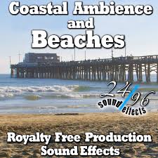 Here's people talking sound effect sound effects for the vnclip audio effects library and i hope you like it. Beaches And Coastal Beach And Coastal Sound Effects Library Asoundeffect Com