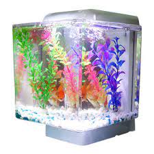 Check spelling or type a new query. Small Acrylic Aquarium Fish Tank For Sale Global Sources