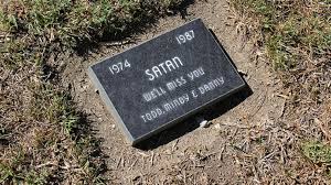 As you come to terms with this sudden change in your life, you may be left wondering how to honor your faithful companion and cherish the memories left behind. West Coast Pet Memorial Sultan Petslover