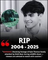 SAD NEWS: Kyle Thomas, UK TikTok animal rescuer, tragically killed by Sloth  Bear during wildlife filming — millions of fans in shock and awaiting  updates…