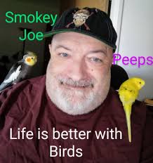 Adopted jack beagle mix from shelter