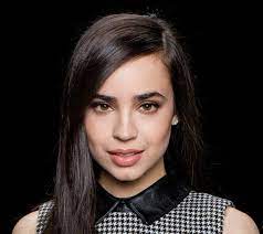 This is the other style i'm working with, i didn't bother to draw the hand correctly since it was more of a quick drawing oops (also a friend told me it looked like lily collins). Embedded Sofia Carson Sophia Carson Carson