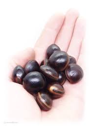 Image result for Macropsychanthus