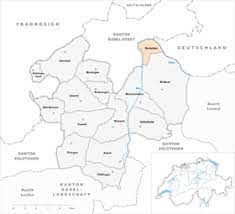Candidate for governor attacked, censored, faces rigged election fighting. Birsfalde Alemannische Wikipedia