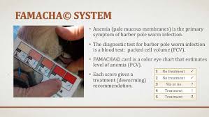 Mucous Membrane Color Related Keywords Suggestions