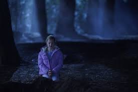 News of the additional order comes. Big Sky Tv Series 2020 Imdb