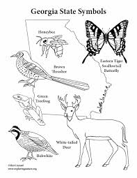 Collect printables for alabama thru maryland. State Of Georgia Symbols Coloring Pages