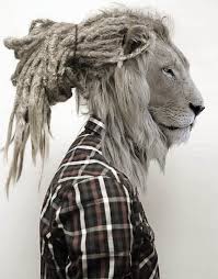 Epingle Par Fozaza Sur Random Wonderful Lion Rasta Animaux Portraits D Animaux