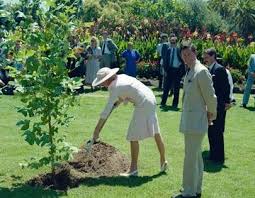 January 27 1988 Prince Charles Princess Diana Planting A Black Tulip Tree At A Multicultural Festival In Footscray Park M Princess Diana Diana Lady Diana