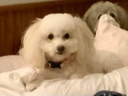 Looking for friends from Huntington, WV West VA