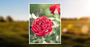 Verna Fouts Obituary December 11, 2020