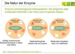 Wie Fruchtsauren Und Enzyme Tatsachlich In Der Haut Wirken