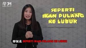 Untuk umpan mancing ikan mas selanjutnya ini and dapat mencoba menggunakan umpan hidup seperti cacing besar, ulat. Upsr Bm Seperti Ikan Pulang Ke Lubuk å­¦åˆ° Angelia Youtube