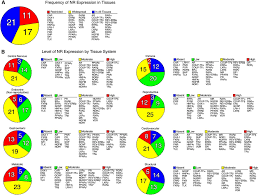 Anatomical Profiling of Nuclear Receptor Expression Reveals a Hierarchical  Transcriptional Network