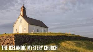 Image result for Tragia kirkiana