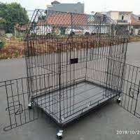 We did not find results for: Kandang Kucing Besar Terbaik Terbaru August 2021 Harga Murah