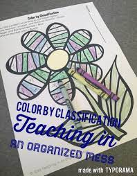 Classify Rational Numbers Color By Number Rational Numbers Middle School Math Math