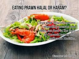 Question / helphalal or haram? Question Is Eating Prawn Halal Or Discover Islam Q A Facebook