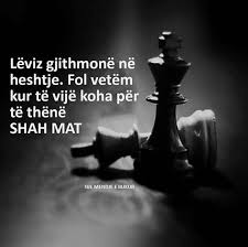 Pin By Vlera On Pensieri Fake Friend Quotes Albanian Quote Inspiring Quotes About Life