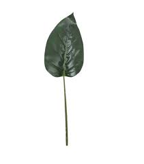 The care needs for indoor philodendrons are very easy to manage. Faux Philodendron Wayfair
