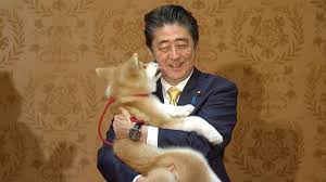 Russian president vladimir putin kisses a puppy he received from turkmenistan president gurbanguly berdimuhamedov. Japan S Abe Oversees Puppy Handover To Russian Olympic Champion Youtube