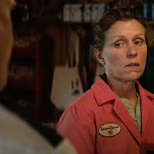 Frances mcdormand hits the road with 'the rider' director in tender ode to american independence. Oscar Nominees 2018 List How To Pretend You Ve Seen All The Nominated Films