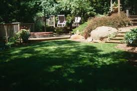 Related story the biggest landscaping & gardening mistakes you're making this fall, according to the stars of backyard envy. Shady Lawn Alternatives Gardening In Michigan