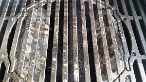 How To Clean Porcelain Coated Grill Grates With Video 4thegrill Com
