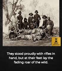 Between 1875 and 1925, India's wild ...
