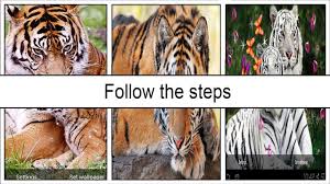 1600 x 1200 jpeg 222kb. 3d Tiger Wallpaper 2018 For Android Apk Download