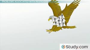 Most can be resolved with time and rest but some may require physical therapy, medications and nerves in your spine and other parts of your body can be compressed by surrounding tissue, causing pain, numbness and tingling. Use Of Pesticides Benefits And Problems Associated With Pesticides Dsst Class 2021 Video Study Com