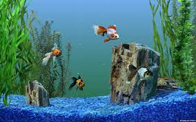 Aquarium Fish Pictures Wallpaper Aquarium Live Wallpaper Free Animated Wallpaper Computer Wallpaper Desktop Wallpapers