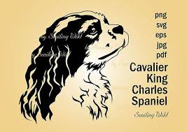 ✅ download free mono or multi color vectors for explore, search and find the best fitting icons or vectors for your projects using wide variety vector library. Cavalier King Charles Spaniel Svg Portrait Design Art Artwork Etsy In 2020 Cavalier King Charles Spaniel Portrait Design Cavalier King Charles