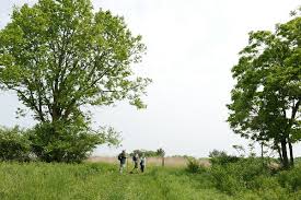 Ice age national scenic trail brochure. Dane County Chapter Hike The Cross Plains Segment Ice Age Trail Alliance