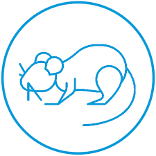 Call accel pest & termite control for proven pest control solutions in richmond, va. Richmond Pest Control Expert Solution Pest Control