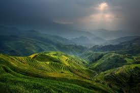 Glimmer Of Light By Gunarto Song